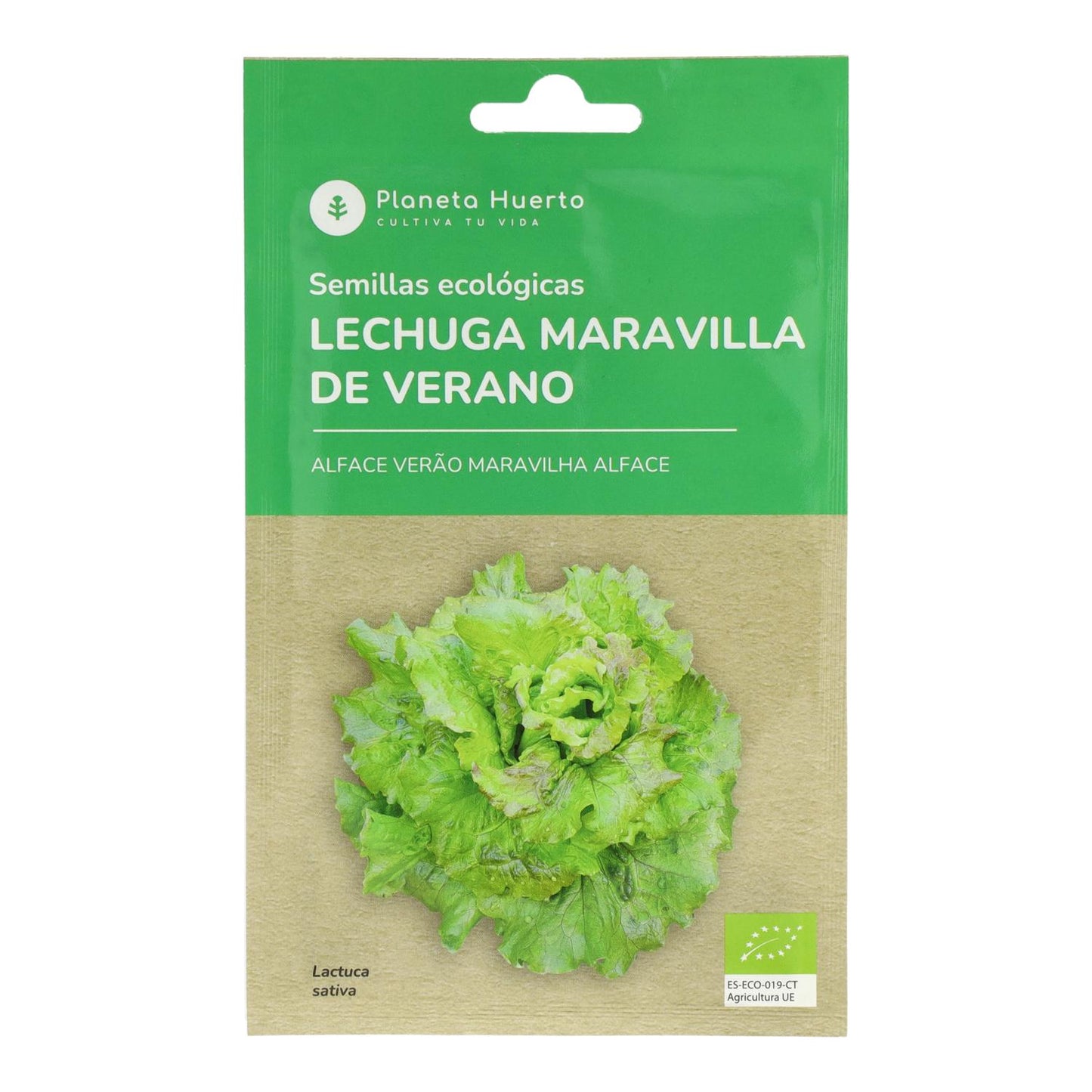 Ekologiska frön av sommarunder sallad Planeta Huerto