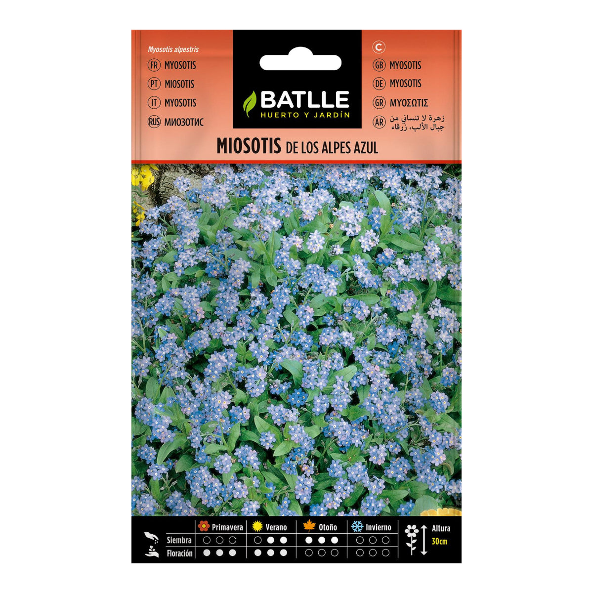 Graines de myosotis des Alpes Batlle