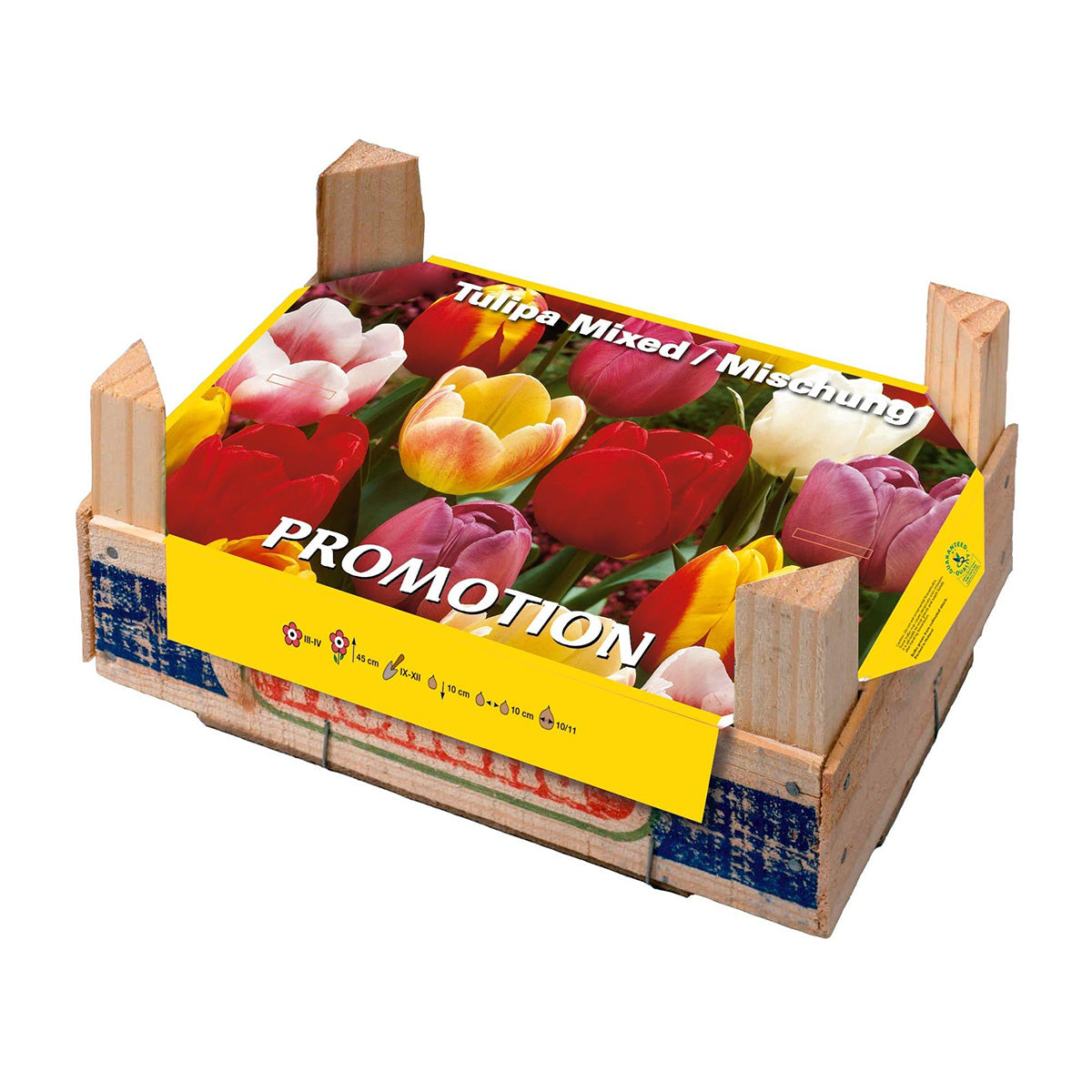 Boîte de tulipes 50 unités