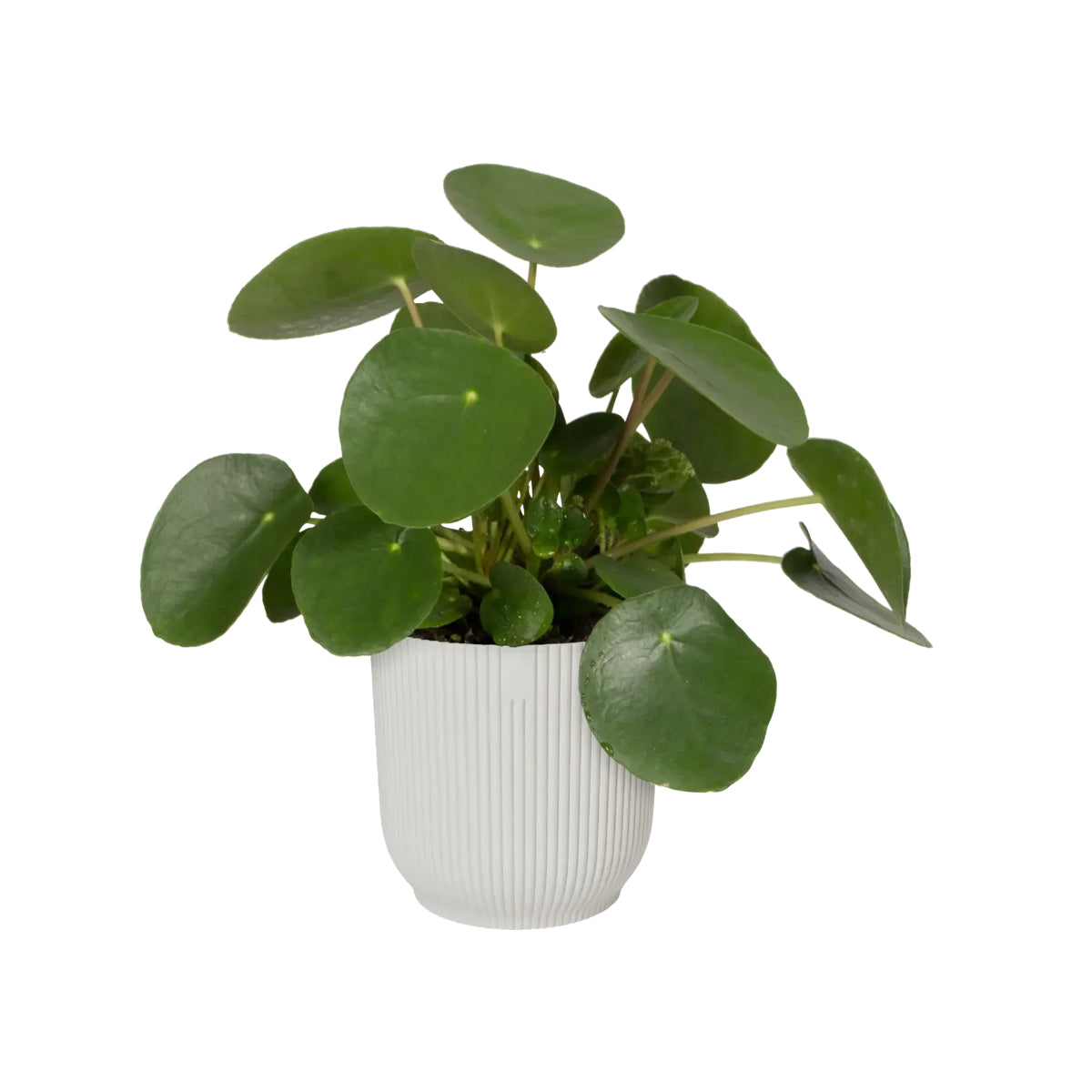 Blumentopf Vibes Fold Round Silky White Elho 22 cm