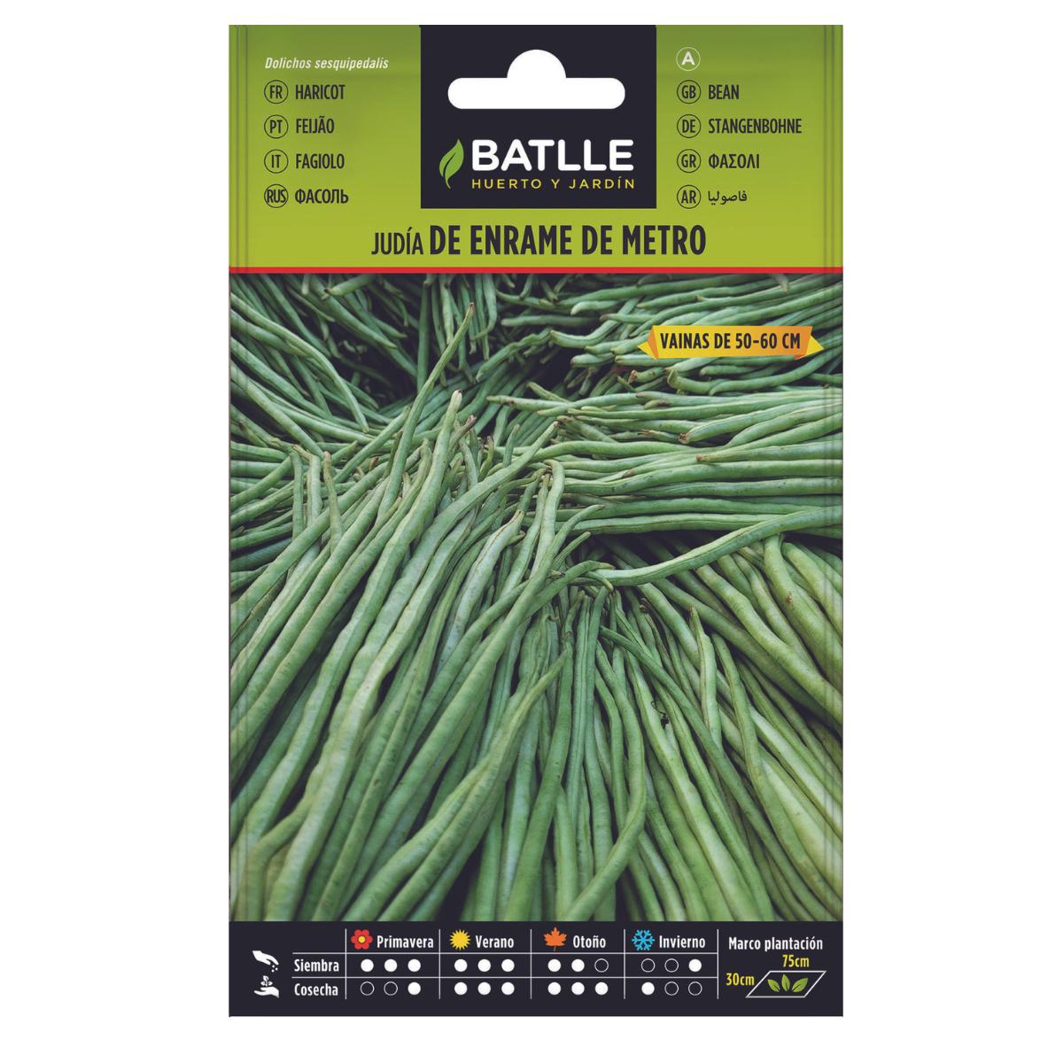 Bohnensamen von Metro Batlle