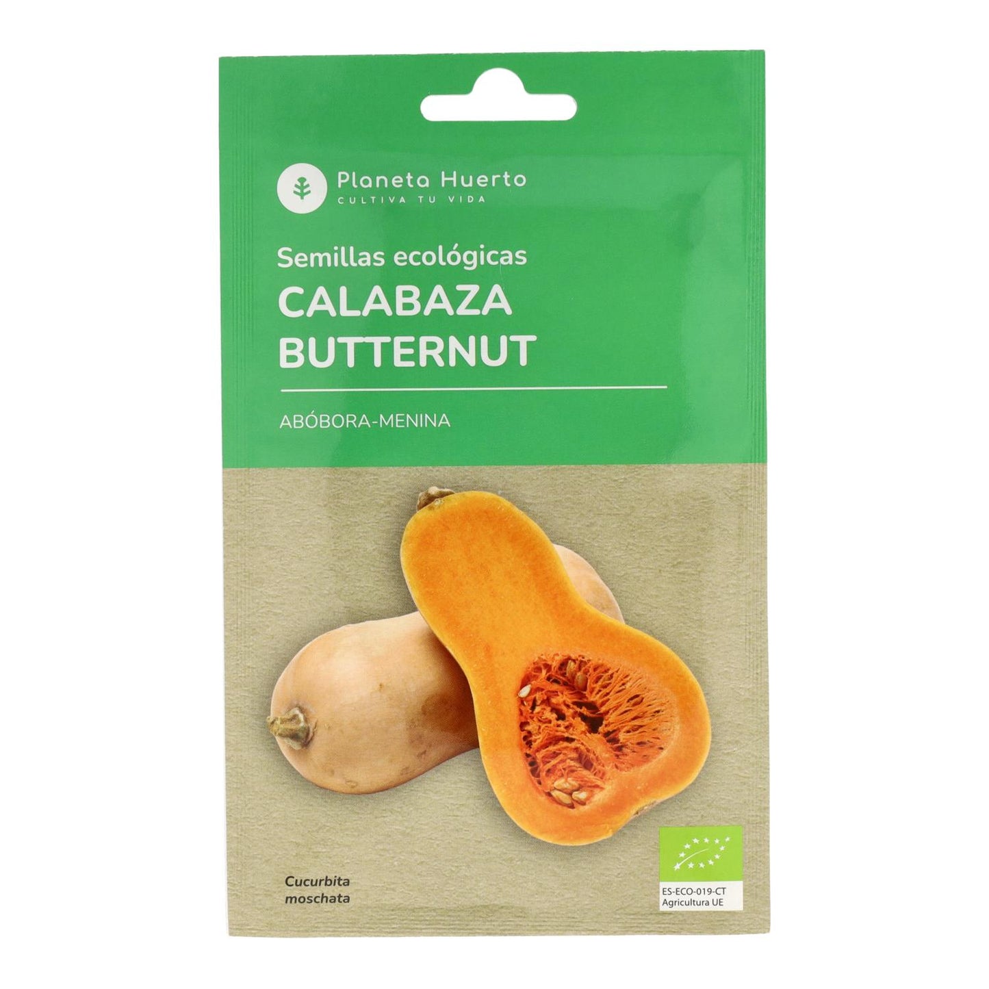 Ekologisk Butternut Squash Frön Planeta Huerto