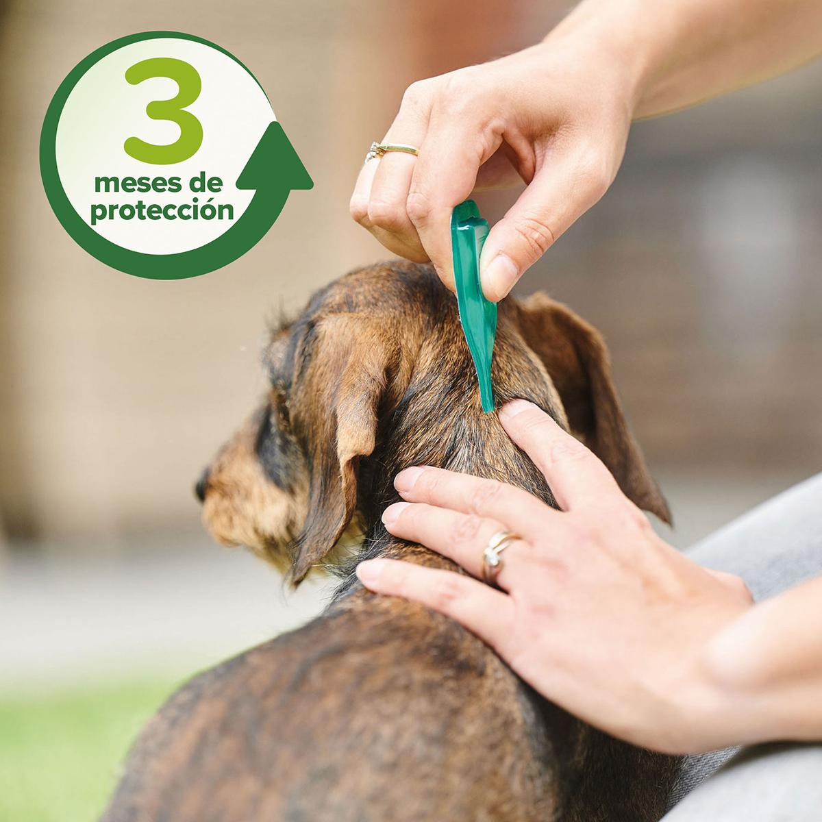Natürliche Parasitenabwehr-Pipetten für mittelgroße Hunde 3x2 ml
