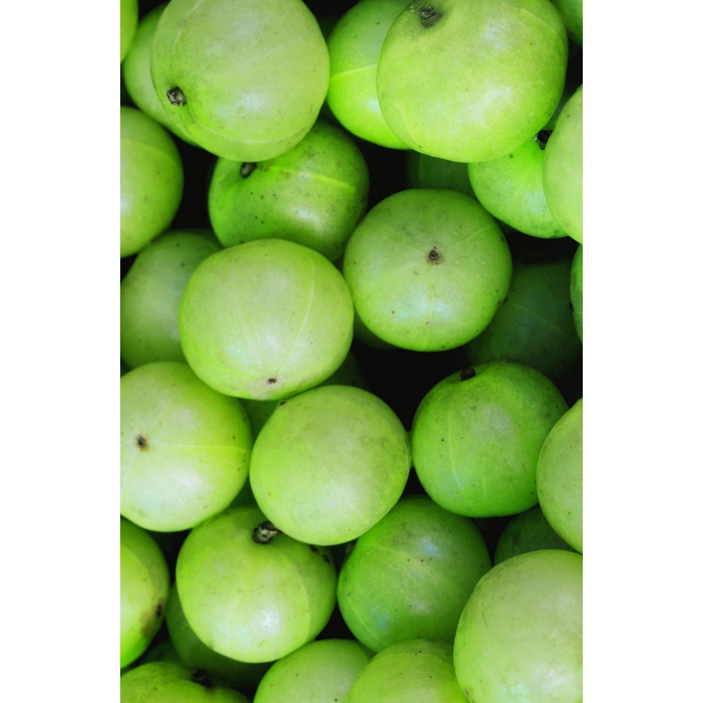 Szampon Amla Volumen Khadi 200 ml