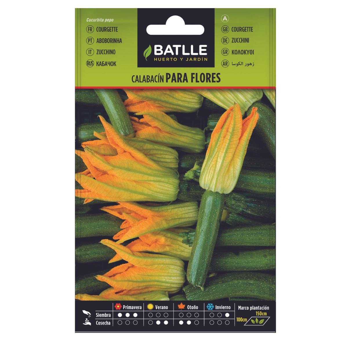 Zucchinifrön för blommor Batlle