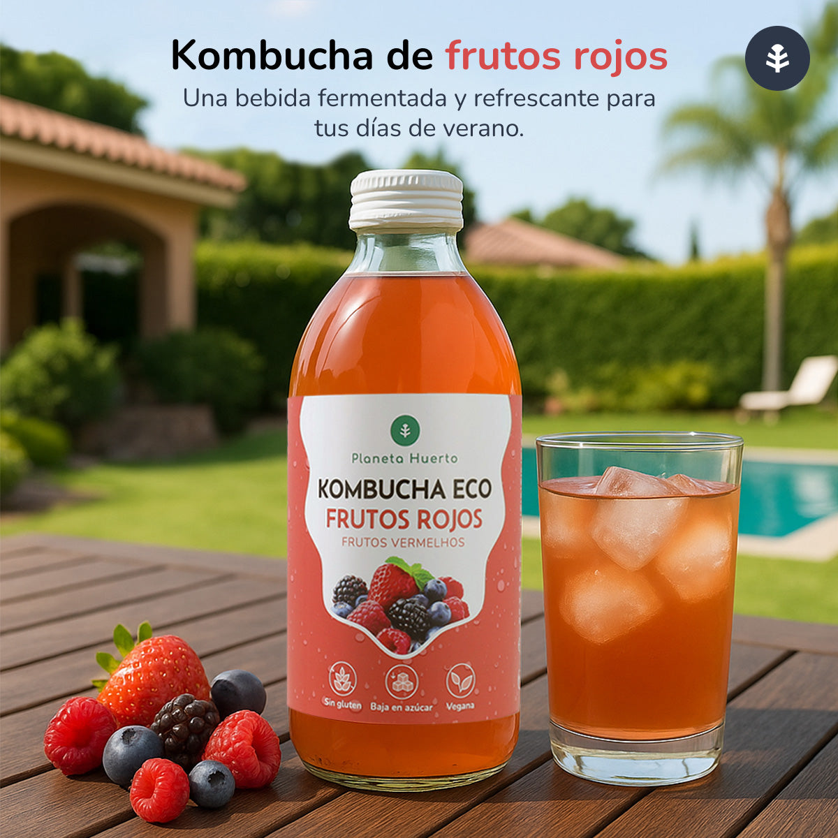 Pack 6x Kombucha ECO Fruits Rouges Planet Orchard 330 ml