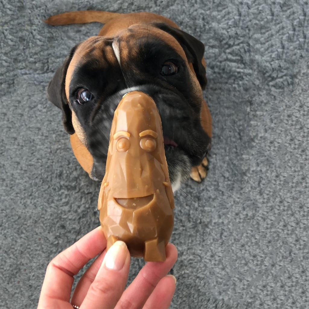 Garden Bites Veggie Friends Hondensnack L 3 stuks Duvo