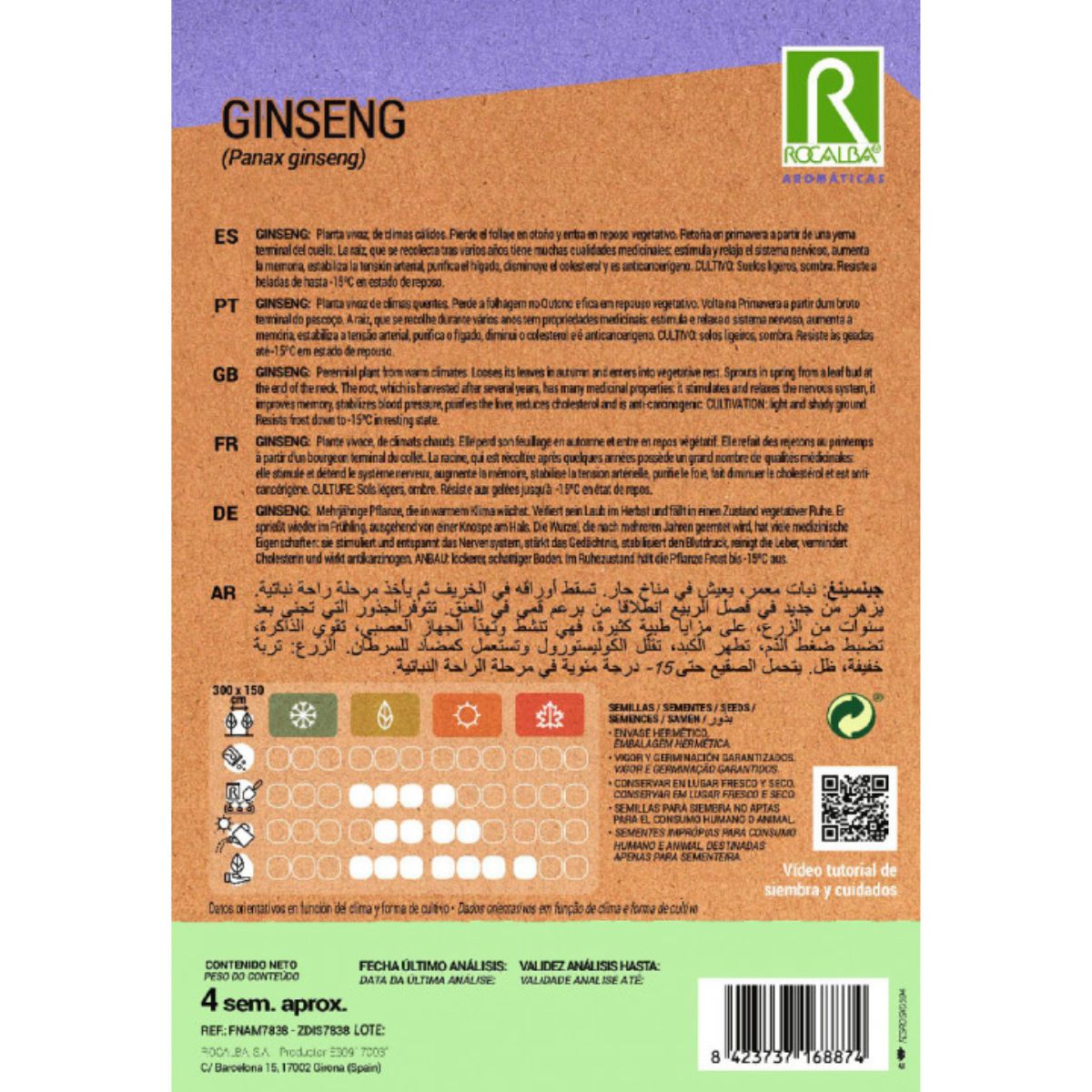 Ginseng seeds
