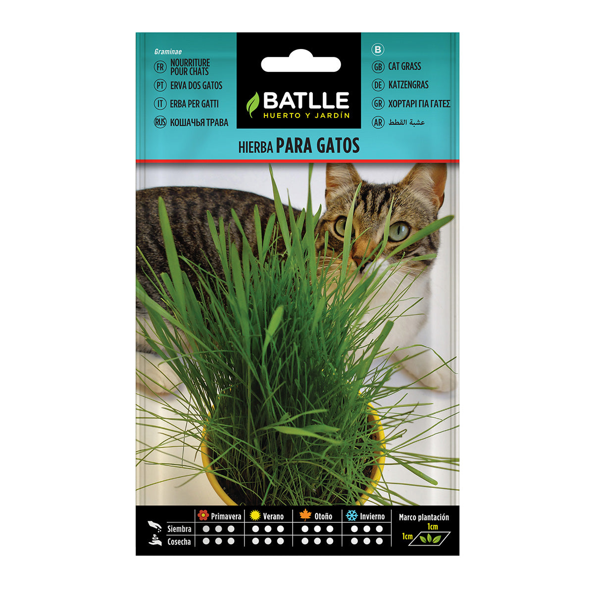 Batlle Cat Grass Seeds