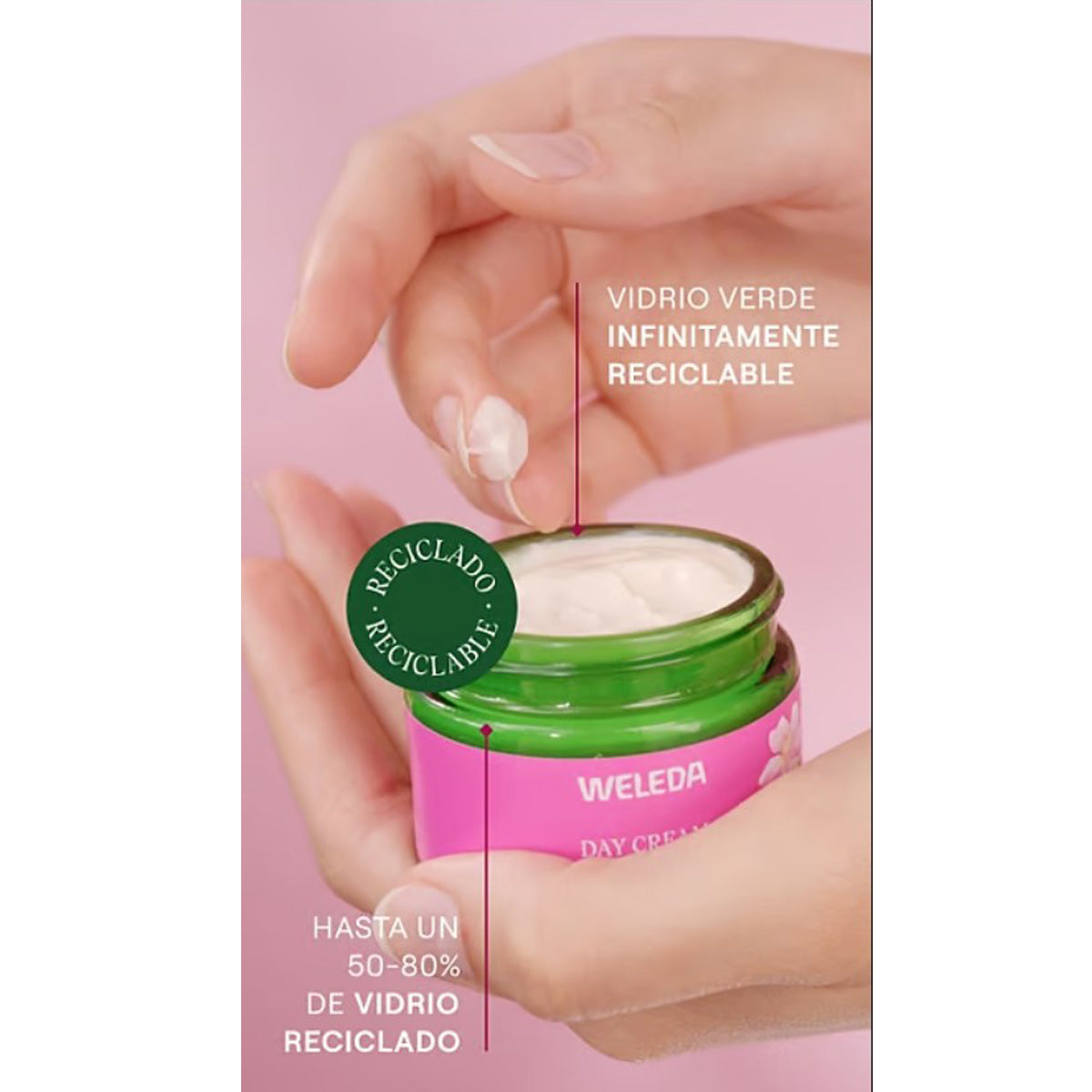 Crema notte levigante alla rosa mosqueta e tè bianco, Weleda, 40 ml