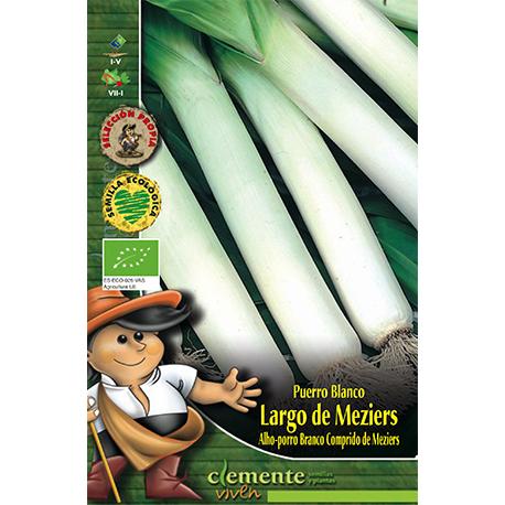 Graines de poireau blanc de Meziers Clemente