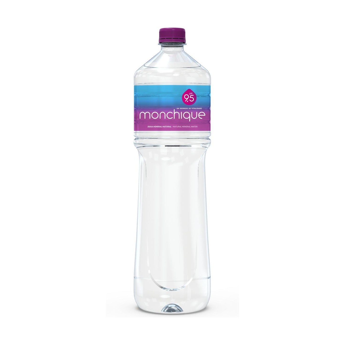 Eau alcaline 9,5 Monchique 1,5 L