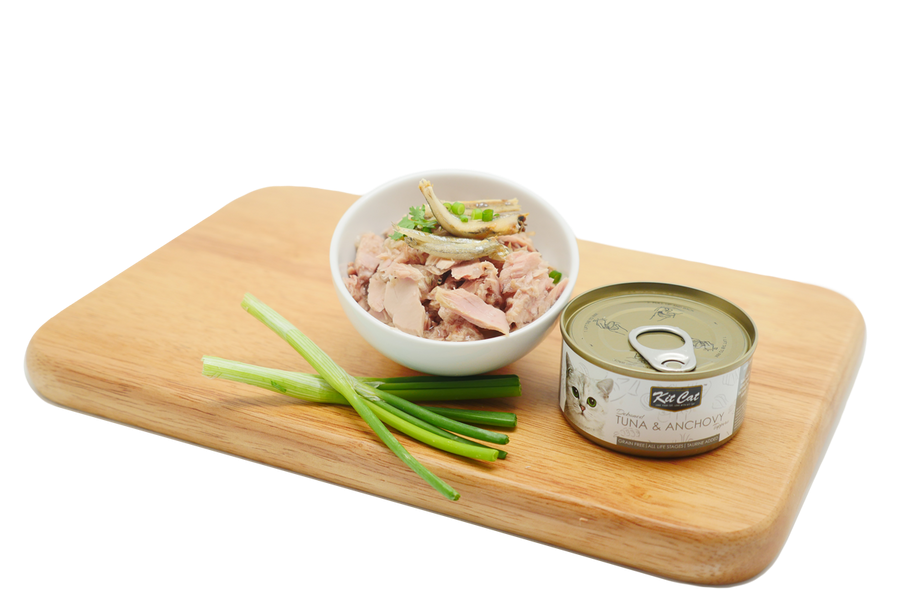 Kit Cat Lata Toppers - Tonno e acciughe 80 g Cibo umido per gatti