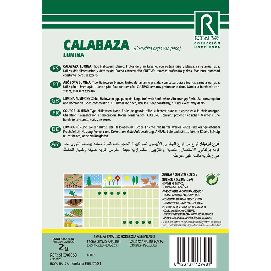 Kürbiskerne Lumina