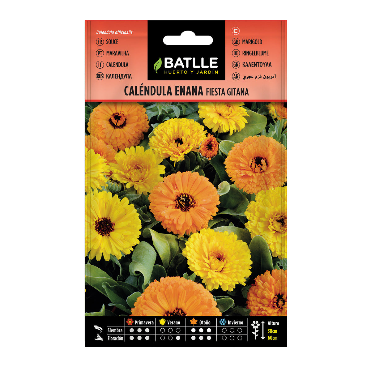 Dvärgkalendulafrön Fiesta Gitana Batlle