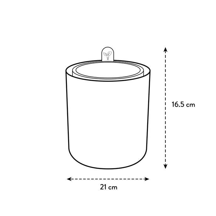 Selbstbewässernder Kräutertopf Bouncy Basil Elho Terra