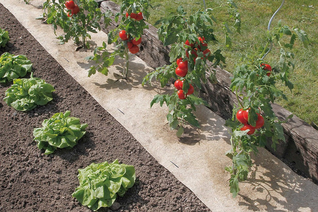 Naturligt ogräsbekämpningsmedel Flaxhemp Nortene 0,5x3 m