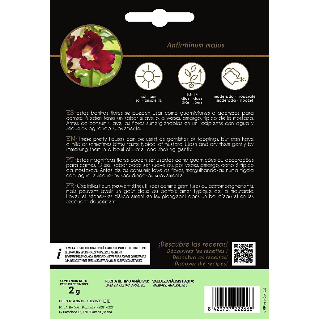 Ätbara blommor av Antirrino Boca De Dragón Rocalba