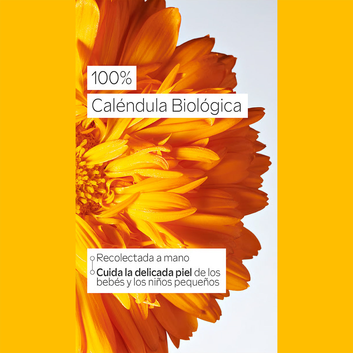 Weleda babybuikolie, 50 ml