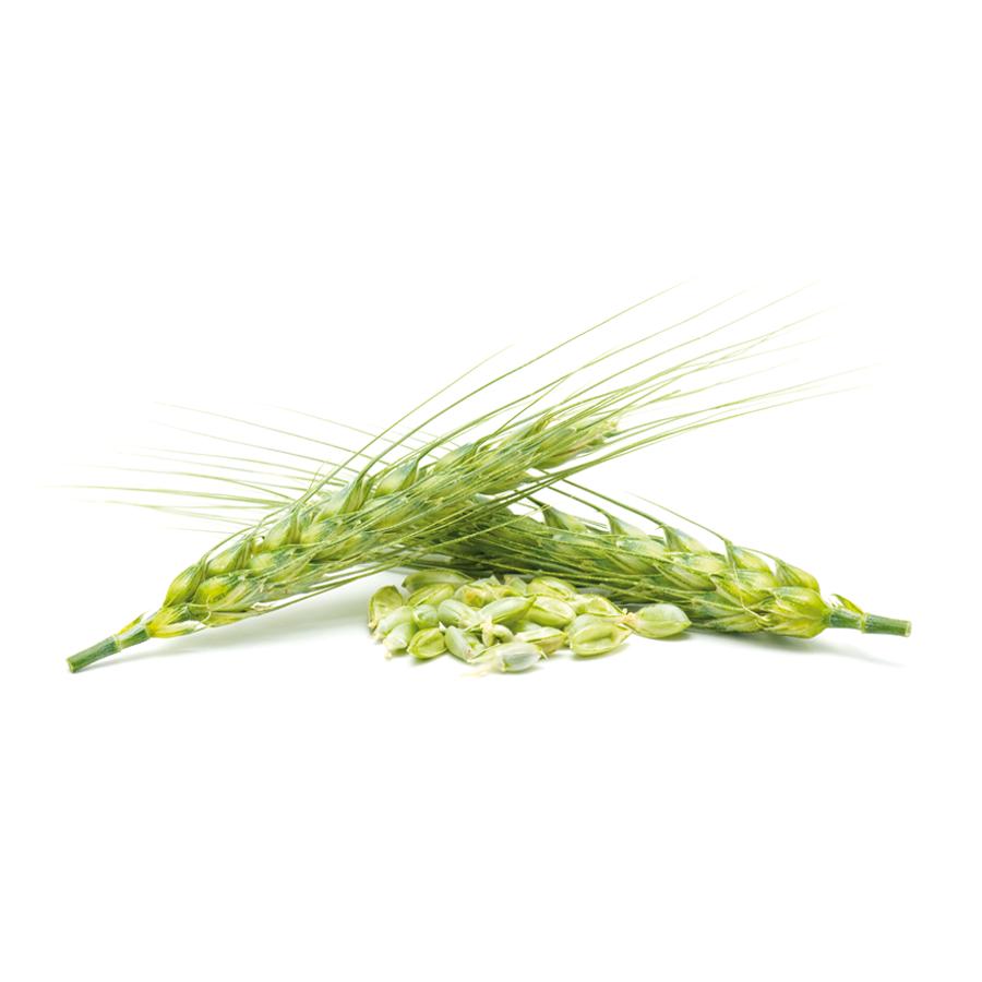 Biergist El Granero, 500 tabletten 400 mg