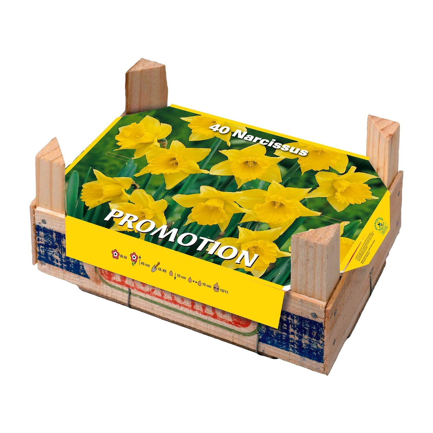 Pudełko Tray Narcyzy 40 szt.