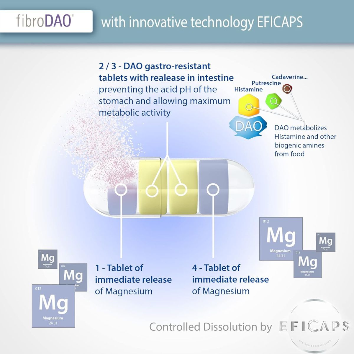 fibroDAO® 60 capsules met maagsapresistente tabletten