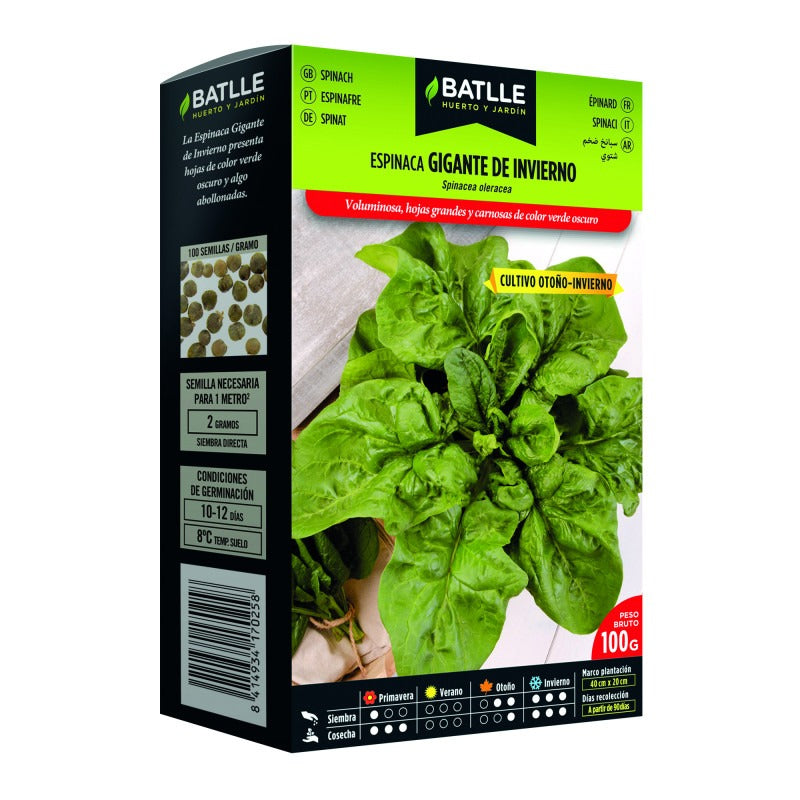 Graines de spinach géant d'hiver 100 g Batlle