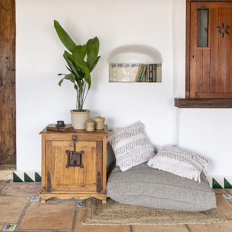 Aspidistra elatior or Donkey's Ears - Height 90-110 cm
