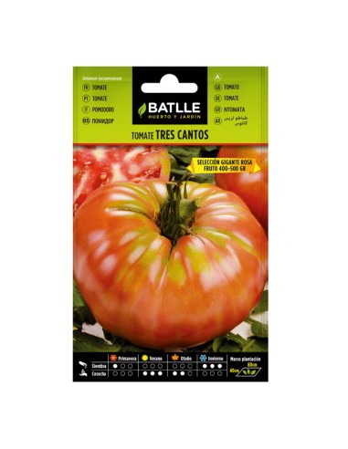 Tres Cantos Batlle tomato seeds