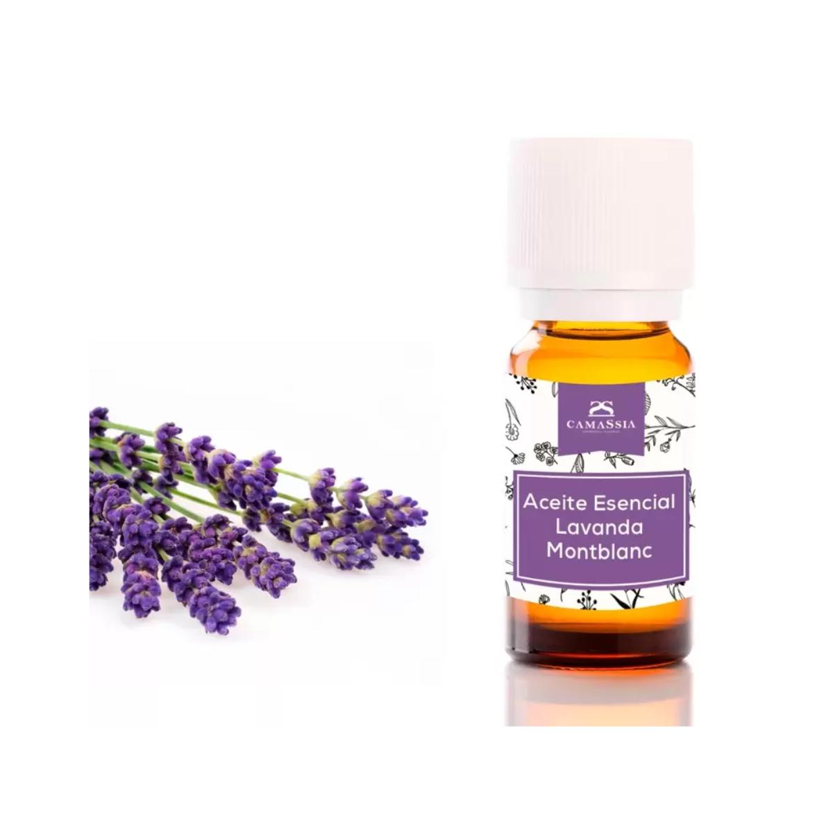 Ätherisches Lavendelöl, Camassia 30 ml