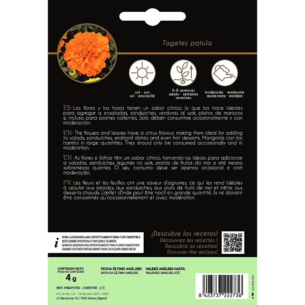 Eetbare bloemzaden van Tagete Rocalba
