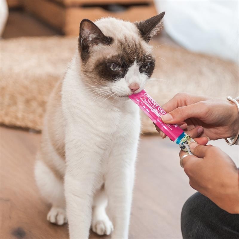Creamy Cat Treats Romige snack met kip Arquivet 5x14 g