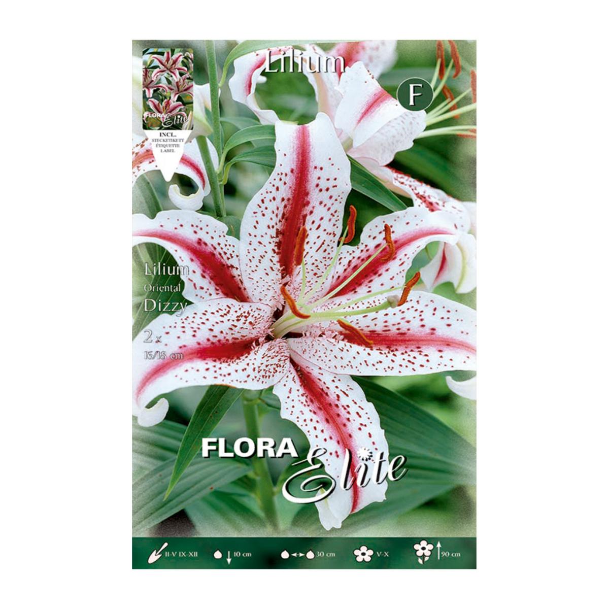 Cebulka Lilium Oriental Dizzy 2 szt.