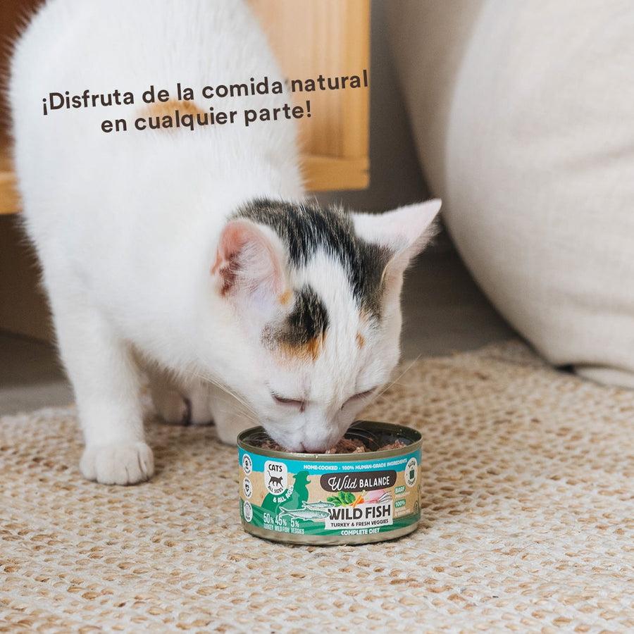 Blik BARF vis en kalkoen voor katten Wild Balance 120 g