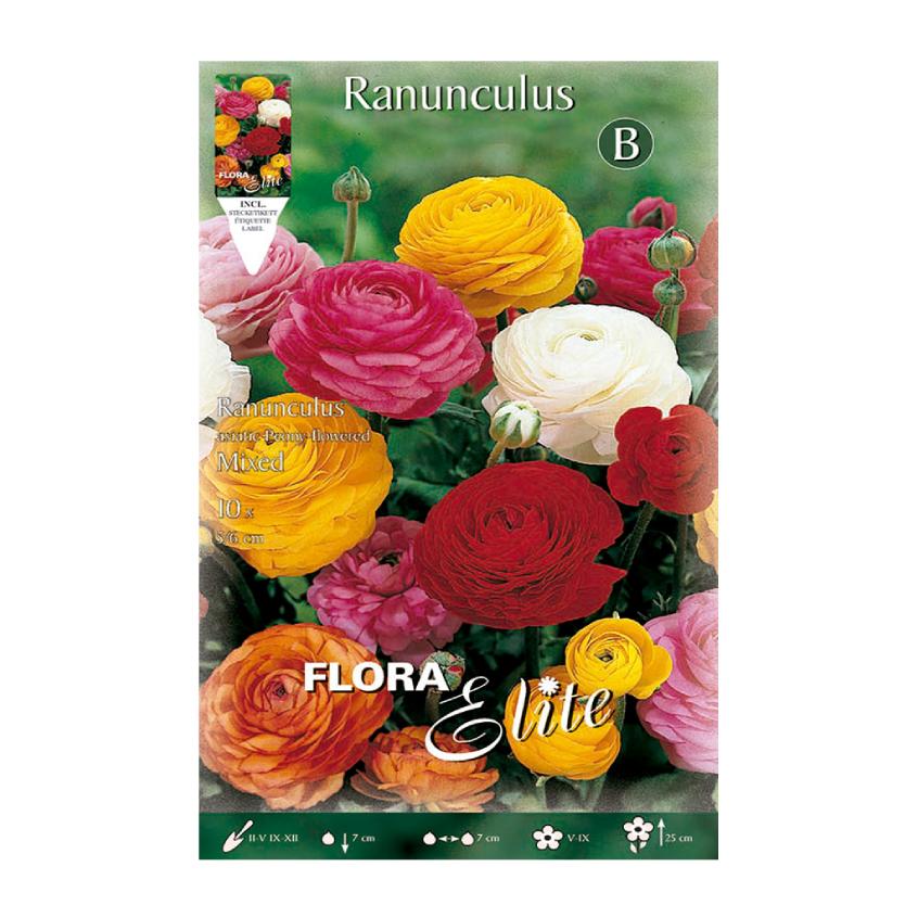 Bulbi Ranuncolo misto 10 pz