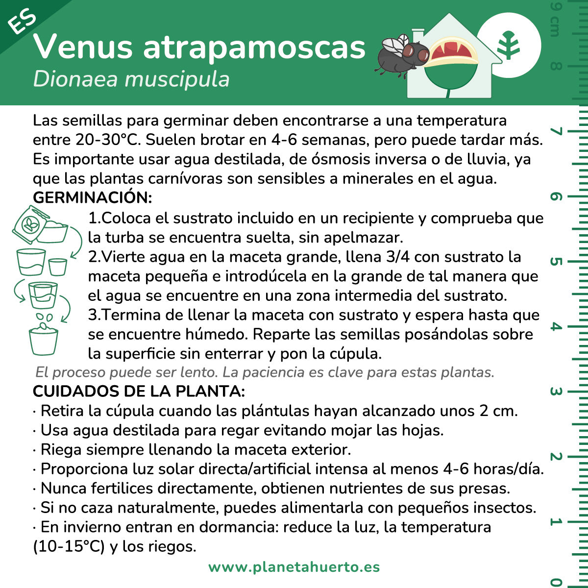 Self-cultivation kit Venus flytrap carnivorous plant Garden planet