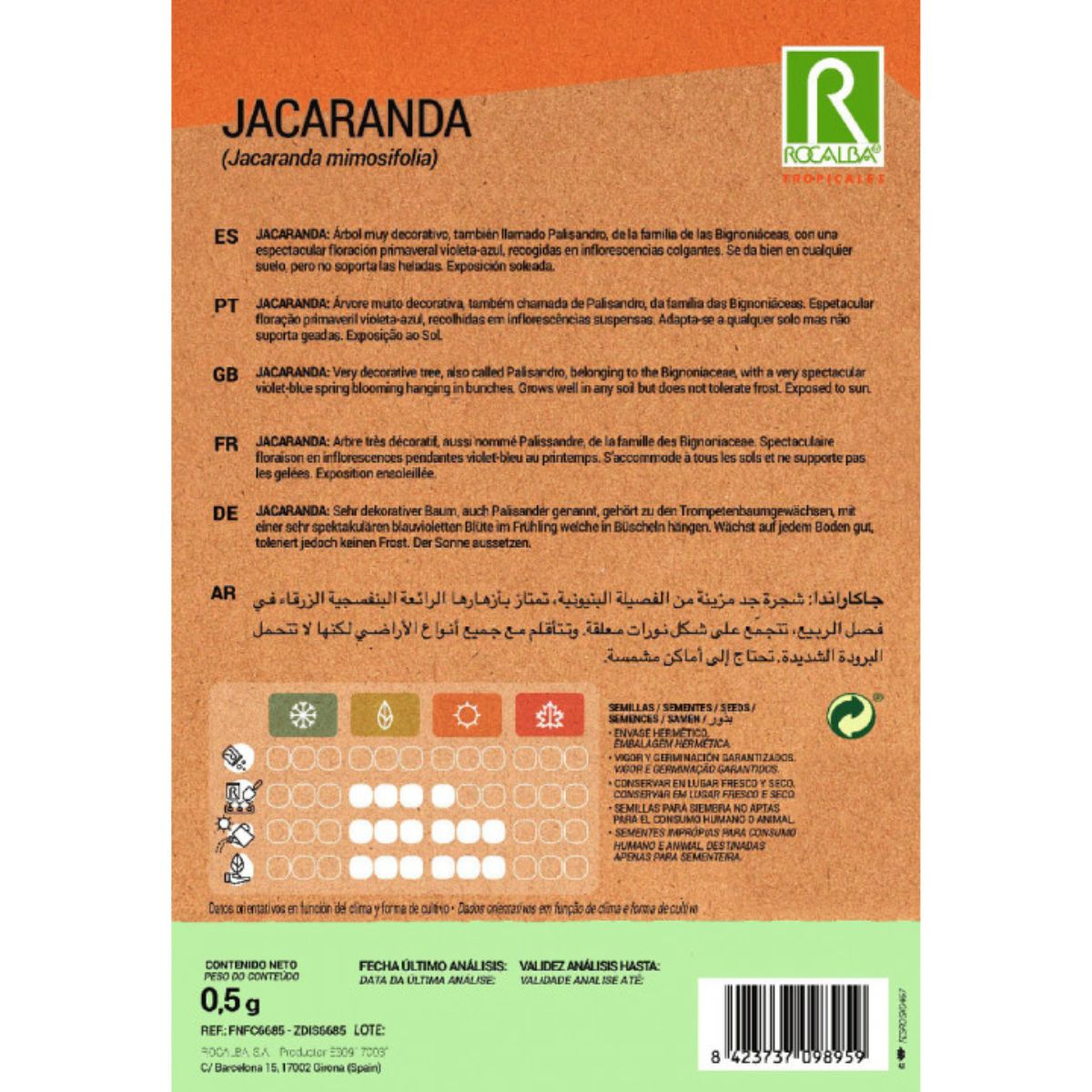 Nasiona Jacaranda Jacaranda mimosifolia