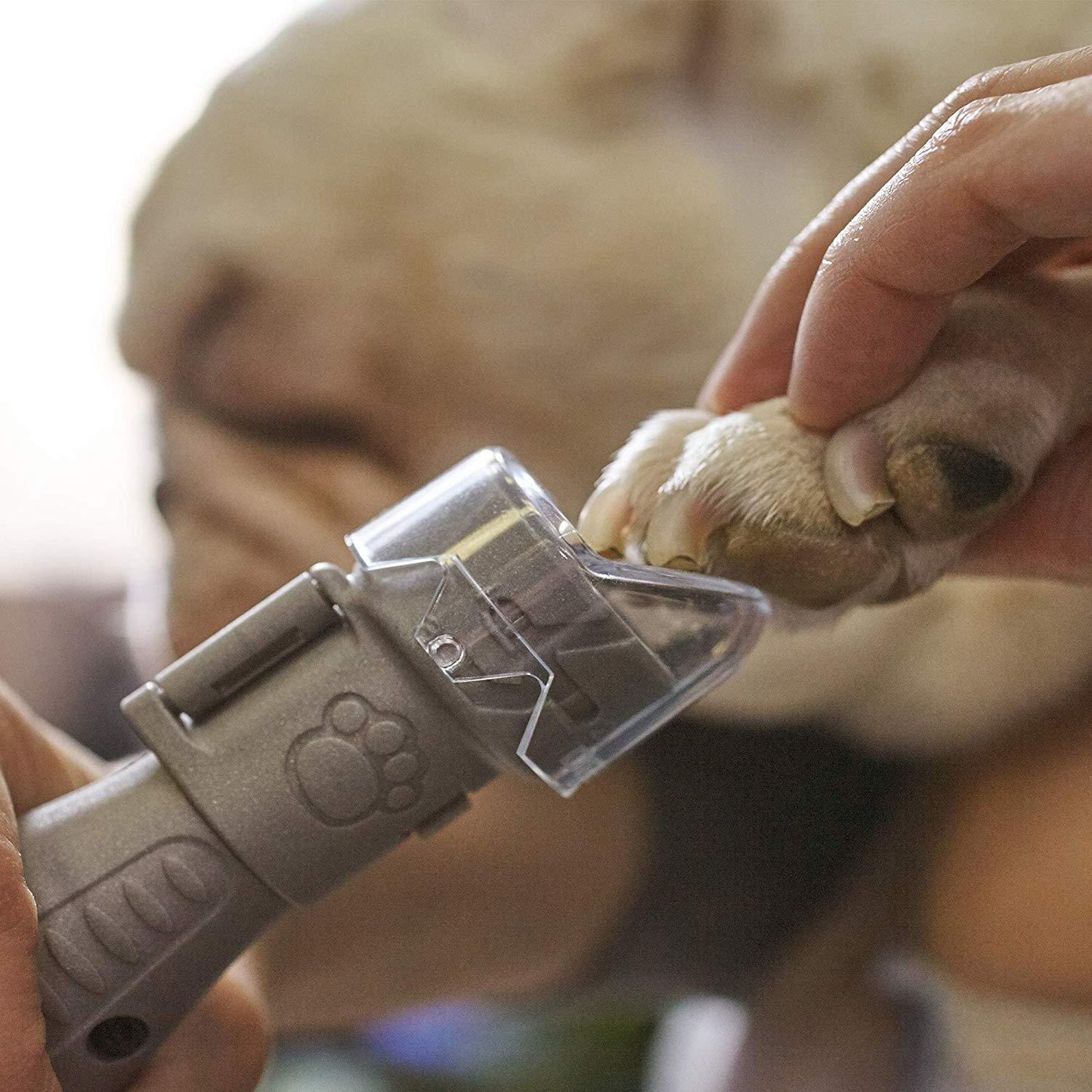 Verzorgingsset voor de nagels van huisdieren Dremel 7020-PGK