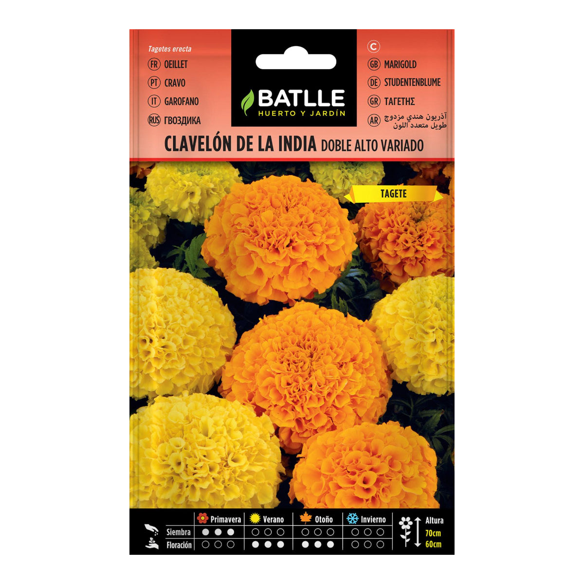 Semi di garofano indiano doppio alto assortito Batlle