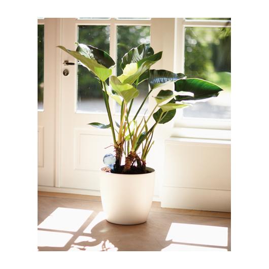 Aqua care transparent Elho