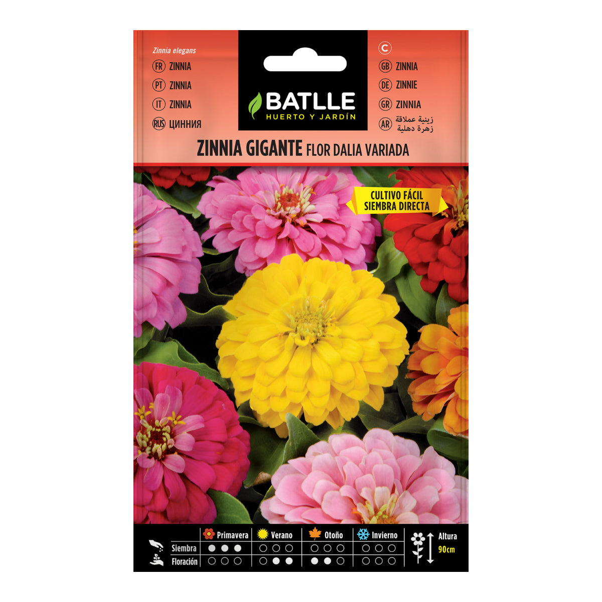 Samen von Riesen-Zinnien, verschiedene Dahlienblüten Batlle