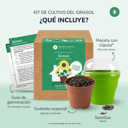 Sunflower self-cultivation kit Planeta Huerto