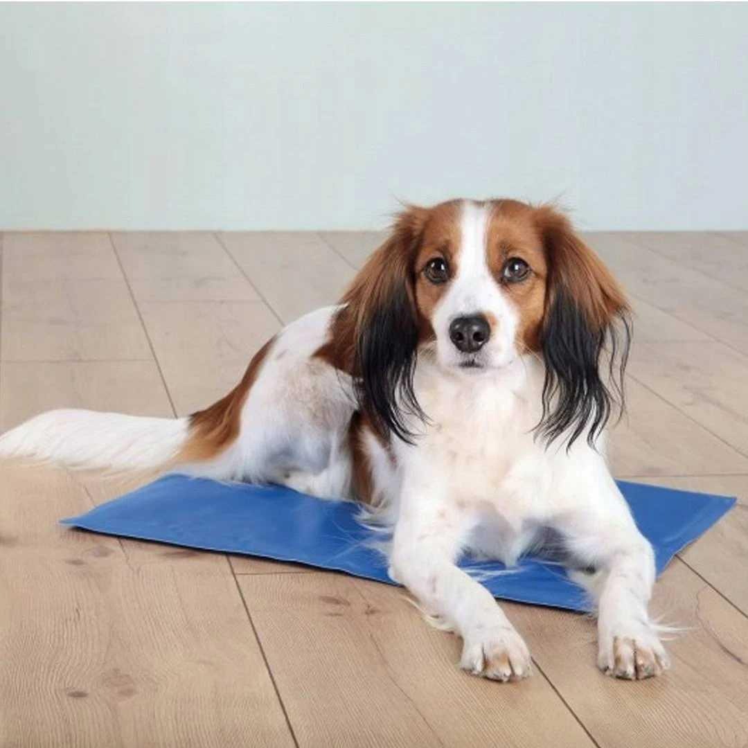Tapis rafraîchissant pour animaux Trixie 65 × 50 cm