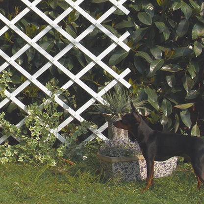 Trelliflex Nortene Extendable PVC Netting 0.5x1.5 m white