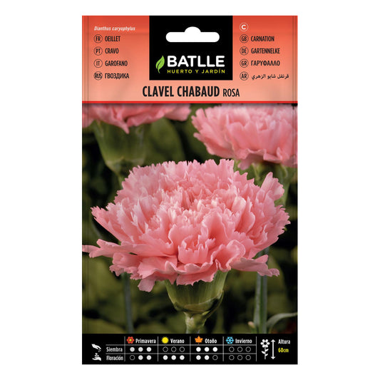 Rosa nejlika frön Batlle