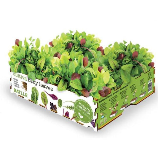 Potager Premium Baby Leaves gourmet Batlle