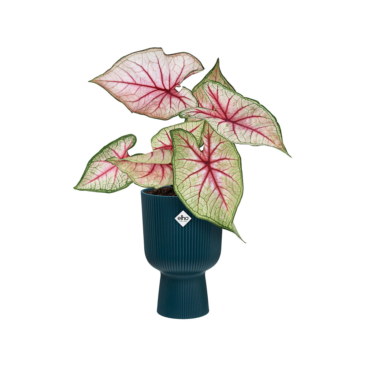 Elho 14 cm Deep Blue Vibes Fold Coupe Plant Pot