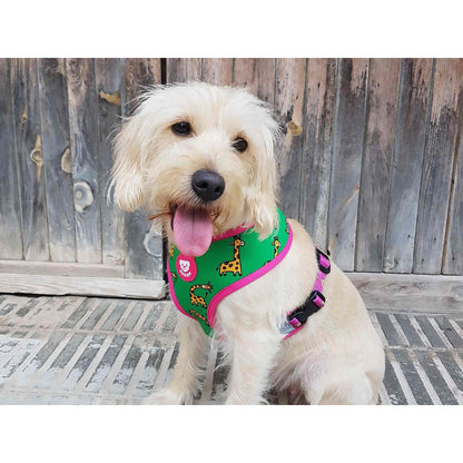 Imbracatura reversibile per cani SAVANA Dukier XL