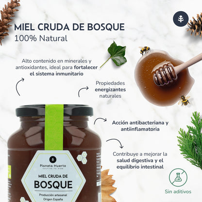 Pack 6x Miel Cruda de Bosque Planeta Huerto 500 gr
