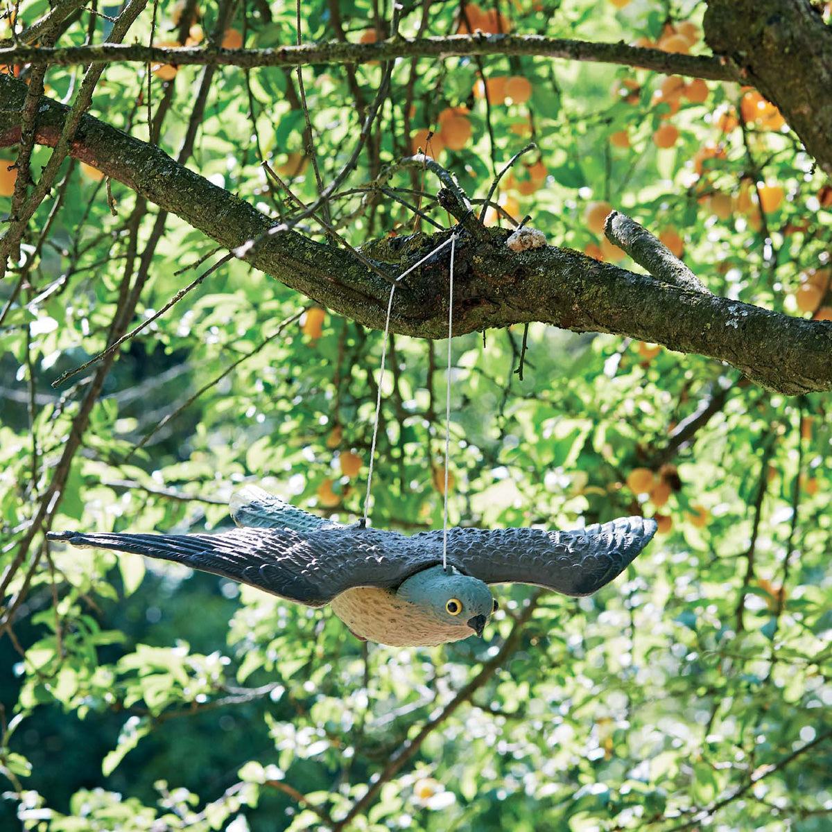 Halcón espantapájaros Verdemax
